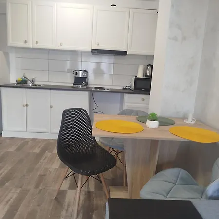 Dimitra Apartment Piatra Neamt Exterior photo