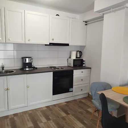 Dimitra Apartment Piatra Neamt Exterior photo